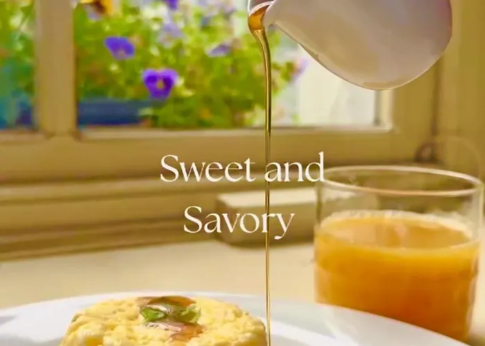 Baggot Court Townhouse מלון דבלין